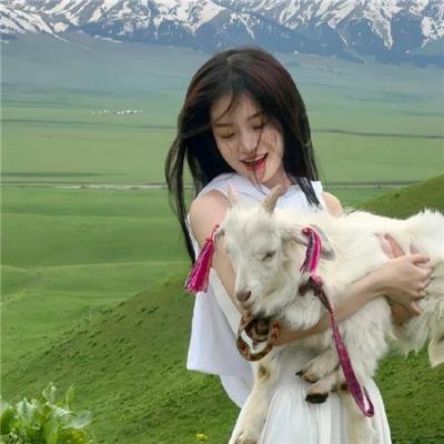 草丛里的羊